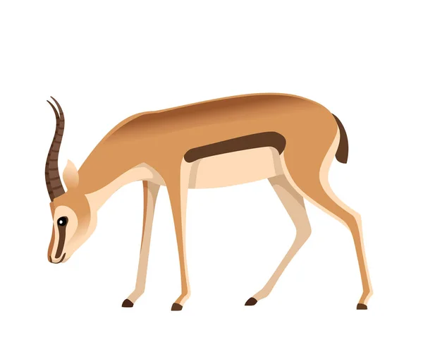 Uzun boynuzları karikatür hayvan tasarımı düz vektör illüstrasyon beyaz arka plan yan görünüm antilop yeme ile Afrika vahşi siyah kuyruklu ceylan — Stok Vektör