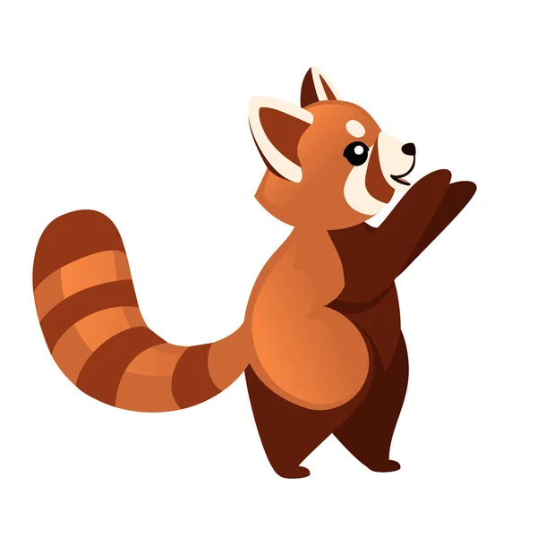 Niedlich entzückende rote Panda Hände nach oben Cartoon-Design Tier Charakter flachen Vektor-Stil Illustration auf weißem Hintergrund — Stockvektor