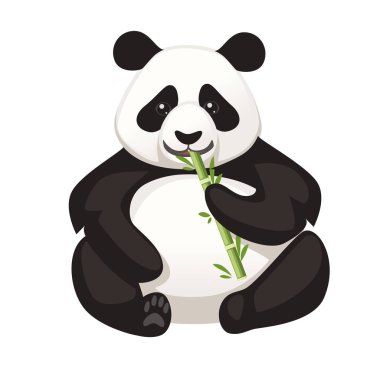 Sevimli büyük panda yerde oturup bambu tutar ve şube karikatür hayvan tasarımı düz vektör illüstrasyon yemek