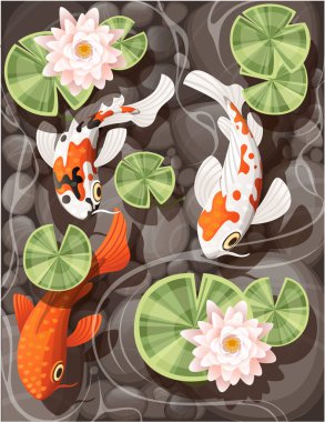 Koi sazan şeffaf su ve taş alt düz vektör illüstrasyon yeşil yaprakları ile zambak lotus ile bir havuzda yüzme