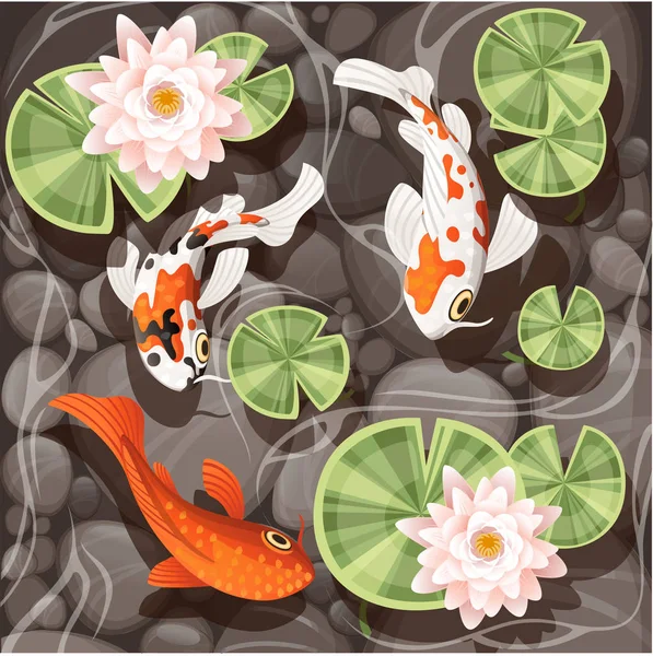 Koi karper zwemmen in een vijver met Lily Lotus met groene bladeren op transparant water en stenen bodem platte vector illustratie — Stockvector