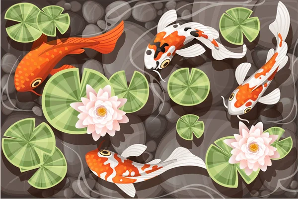 Carpa Koi nadando em uma lagoa com lótus lírio com folhas verdes em água transparente e pedra fundo ilustração vetorial plana —  Vetores de Stock