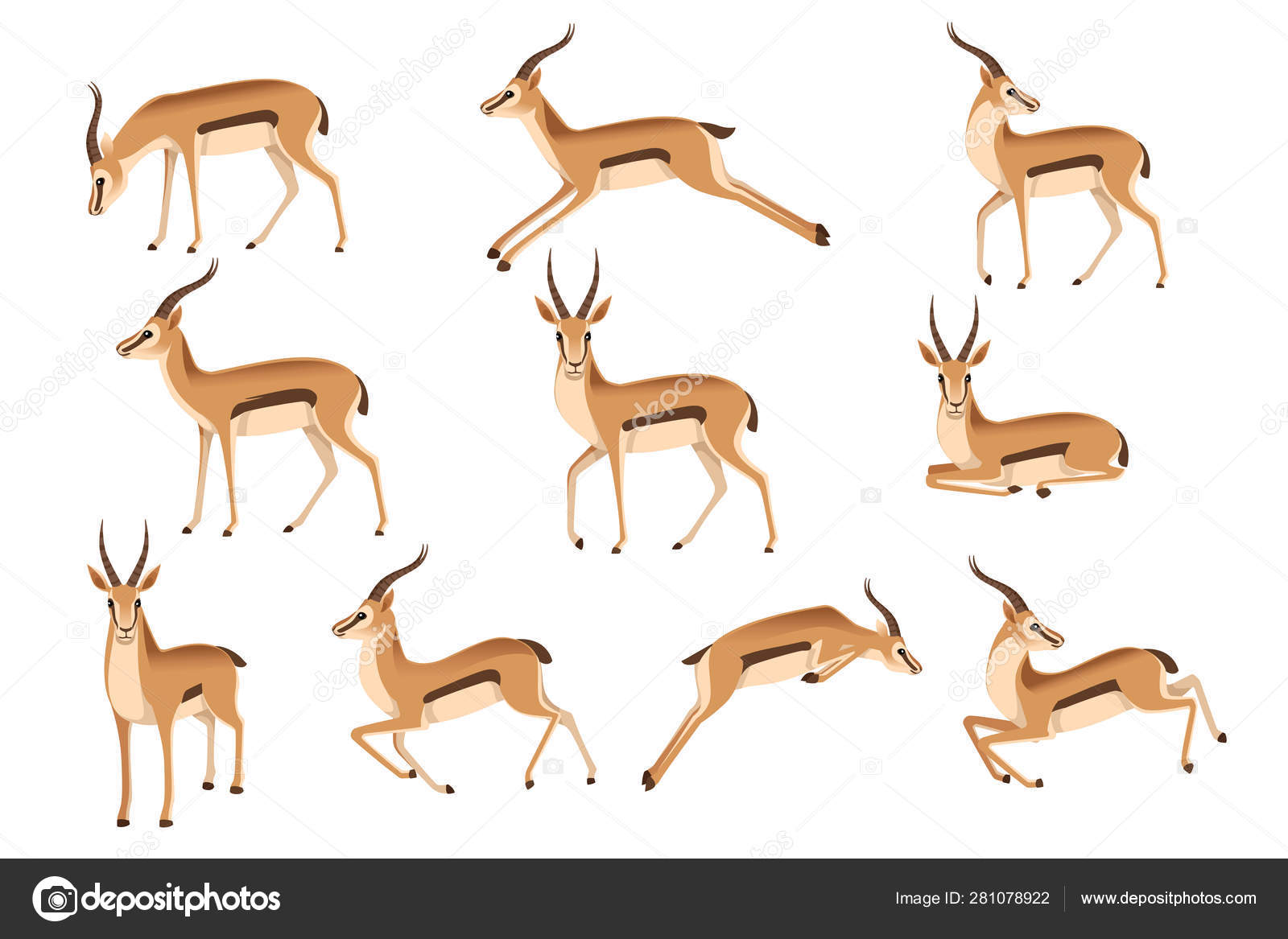 Set of african wild black-tailed gazelle with long horns cartoon animal  design flat vector illustration on white background side view antelope  Stock Vector Image by ©.com #281078922