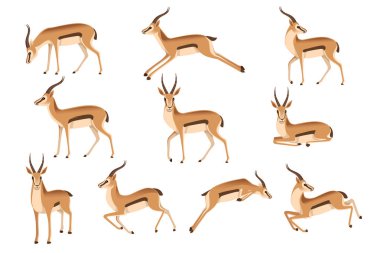 Set of african wild black-tailed gazelle with long horns cartoon animal design flat vector illustration on white background side view antelope clipart