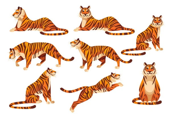 大人の大きな赤虎野生動物と動物をテーマにした動物の動物デザインフラットベクトルイラストのセットは、白い背景に隔離 — ストックベクタ