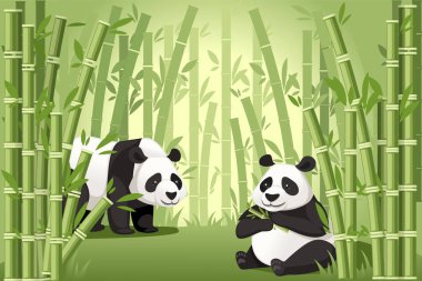Bambu ağaçları asya orman manzara iki sevimli büyük panda biri bambu düz vektör illüstrasyon yeme