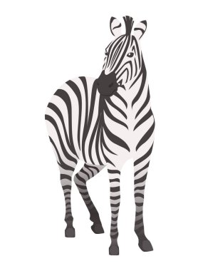 Afrika zebra ön görünüm karikatür hayvan tasarımı düz vektör illüstrasyon beyaz arka plan izole