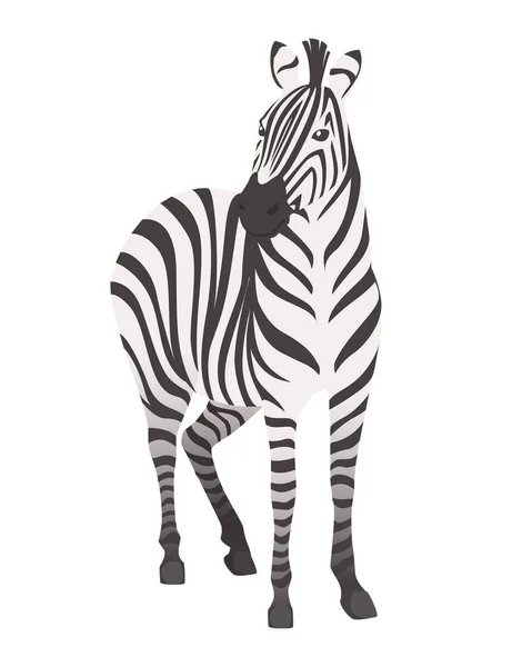 Afrikansk Zebra front View tecknad djur design Flat vektor illustration isolerad på vit bakgrund — Stock vektor