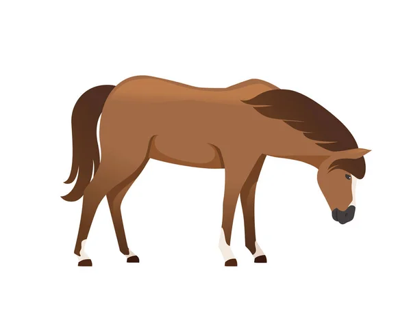 Cavalo marrom desenho de desenhos animados animais selvagens ou domésticos ilustração vetorial plana isolada no fundo branco —  Vetores de Stock