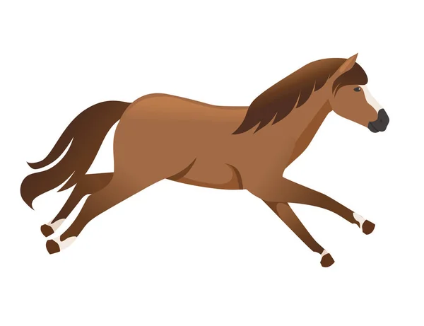 Cavalo marrom animal selvagem ou doméstico correndo desenho animado design plana ilustração vetorial isolado no fundo branco —  Vetores de Stock