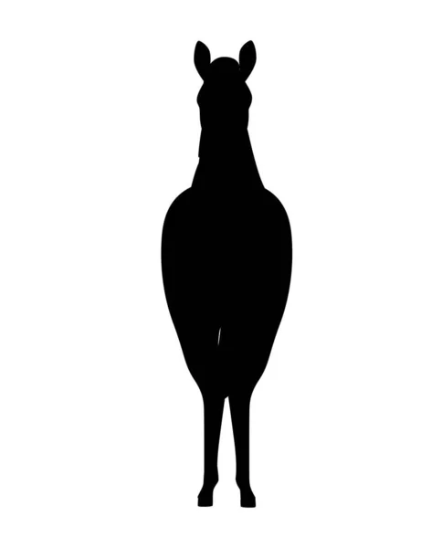 Siyah siluet at vahşi veya evcil hayvan karikatür tasarım düz vektör illüstrasyon beyaz arka plan izole — Stok Vektör