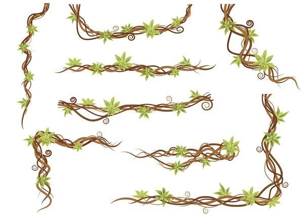 Vine planta conjunto verde selvagem lianas ramos plana vetor ilustração isolado no fundo branco — Vetor de Stock