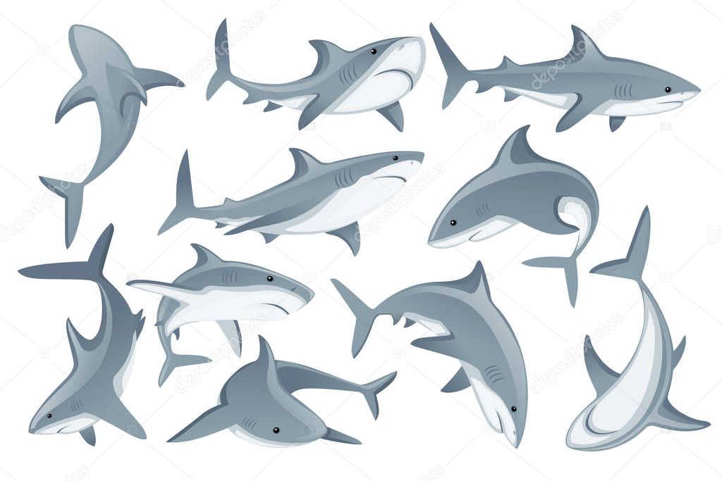 Set of shark with mouth closed in different poses Shark with mouth closed giant apex predator cartoon animal design flat vector illustration isolated on white background.