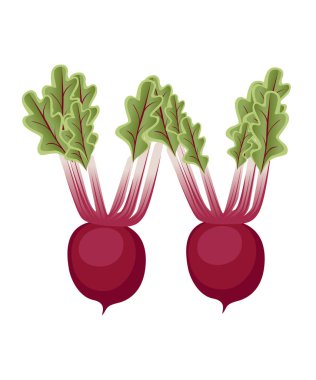 Sebze harfi W turp stili sebze tasarımı düz vektör çizimi beyaz arkaplan üzerinde izole