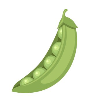Yeşil bezelyeler kabuk taze gıda düz vektör illüstrasyon beyaz arka planda izole