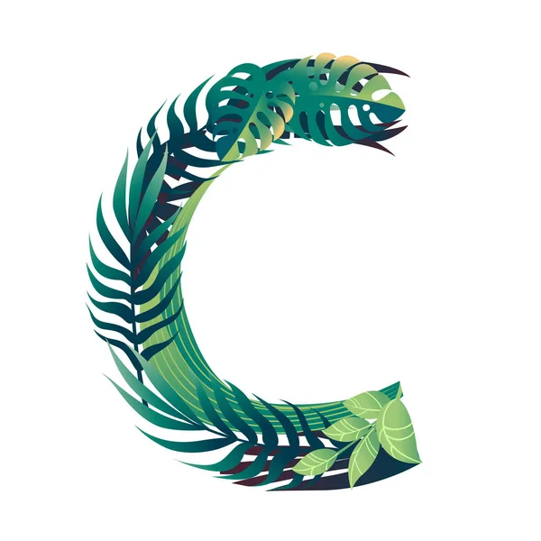 Liść litera C z różny rodzaj zielony liść i liść płaski wektor ilustracja odizolowany na biały tło — Wektor stockowy