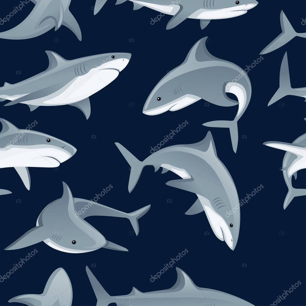 Shark with mouth closed giant apex predator cartoon animal design flat vector illustration isolated on white background.