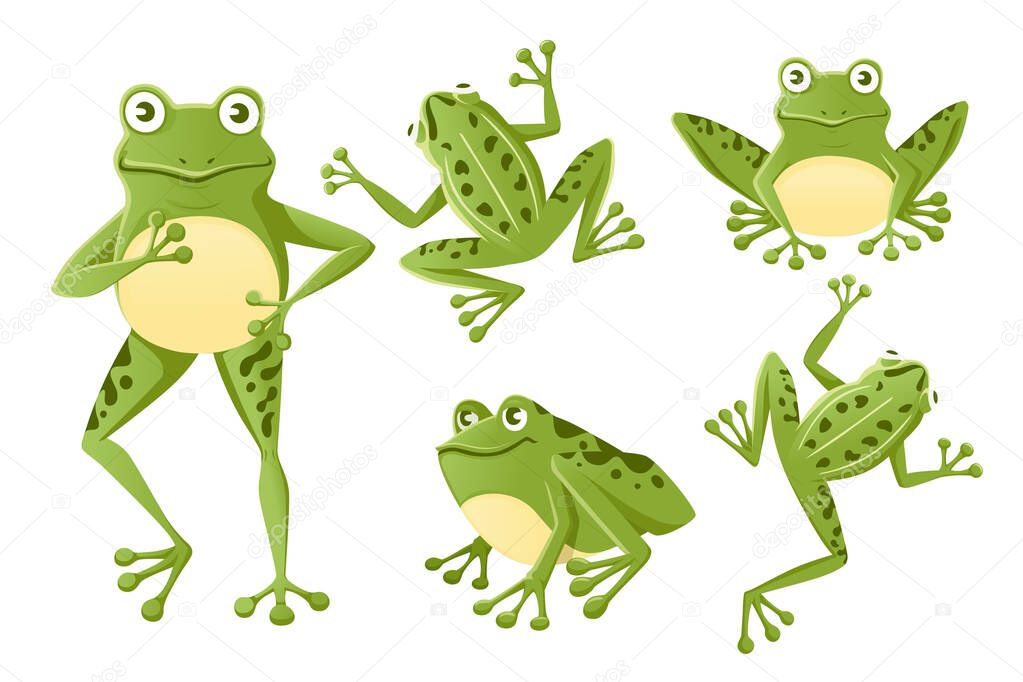Set of cute smiling green frog sitting on ground cartoon animal design flat vector illustration isolated on white background