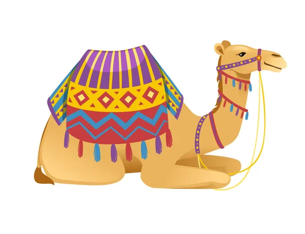 Söt två puckel kamel med betel och sadel sitter på marken tecknad djur design platt vektor illustration isolerad på vit bakgrund — Stock vektor