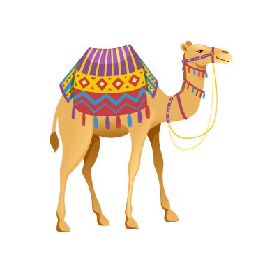 Dizgin ve eyerli şirin iki hörgüçlü deve beyaz arka planda izole edilmiş yassı hayvan tasarımı düz vektör çizimi