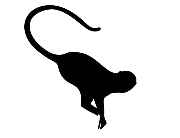 Silhouette Noire Mignon Vervet Singe Dessin Animé Animal Design Plat — Image vectorielle