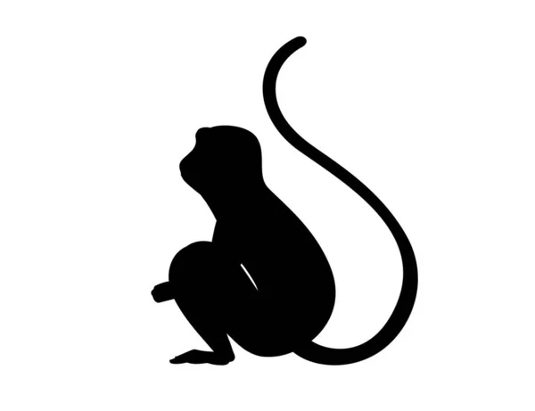 Silhueta Preta Bonito Vervet Macaco Desenho Animado Animal Design Plana — Vetor de Stock