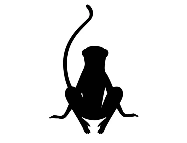 Silhouette Noire Mignon Vervet Singe Dessin Animé Animal Design Plat — Image vectorielle