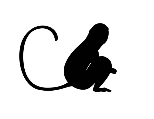 Silhueta Preta Bonito Vervet Macaco Desenho Animado Animal Design Plana — Vetor de Stock