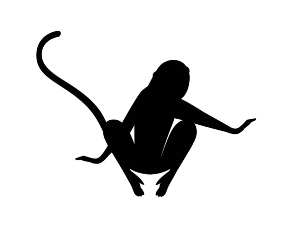 Silhouette Noire Mignon Vervet Singe Dessin Animé Animal Design Plat — Image vectorielle