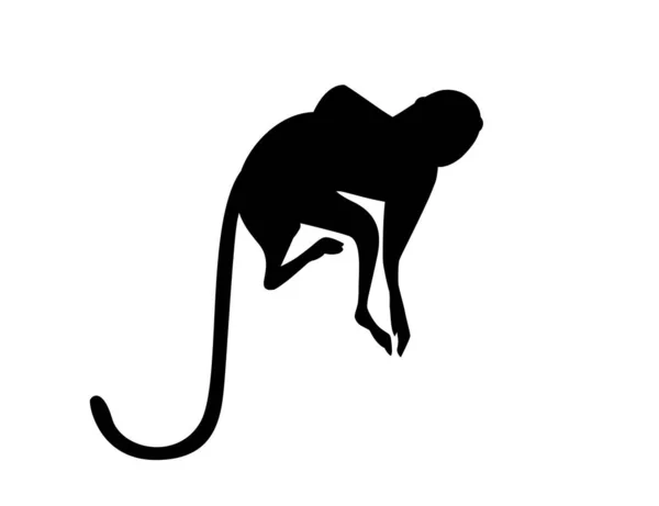 Černá Silueta Roztomilé Vervet Opice Kreslené Zvíře Design Plochý Vektor — Stockový vektor