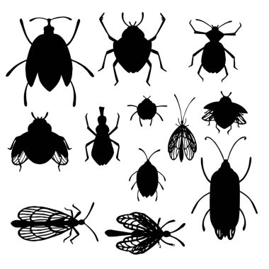 Çizgi film setinin basit böcek koleksiyonu siyah siluetler farklı böcekler düz vektör çizimleri beyaz arkaplanda izole edildi.