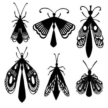Çizgi film setinin basit böcek koleksiyonu siyah siluetler farklı böcekler düz vektör çizimleri beyaz arkaplanda izole edildi.