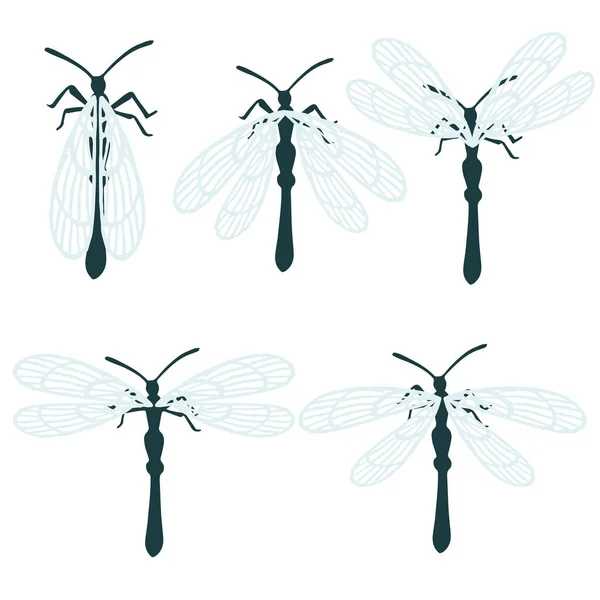 Set Van Eenvoudige Platte Libel Met Verschillende Vleugels Collectie Insecten — Stockvector