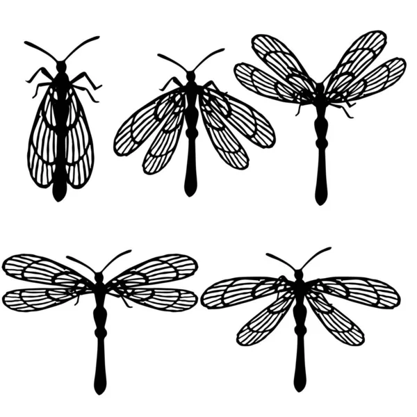 Set Simple Flat Dragonfly Different Wings Collection Insects Flat Vector — Stock Vector