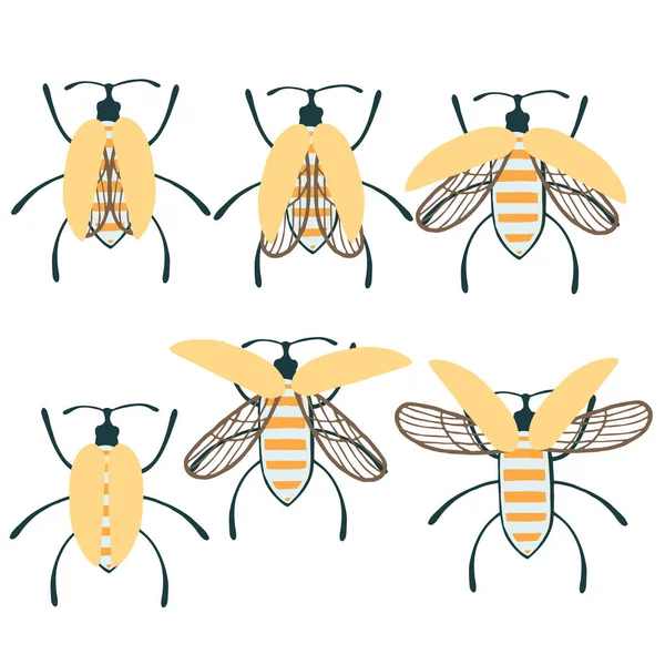 一组简单的扁平甲虫 不同的翅膀收集昆虫 白色背景下的扁平矢量图解 — 图库矢量图片