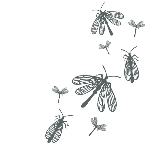 Шаблон Простым Плоским Жуком Различными Крыльями Насекомых Плоские Векторные Иллюстрации — стоковый вектор