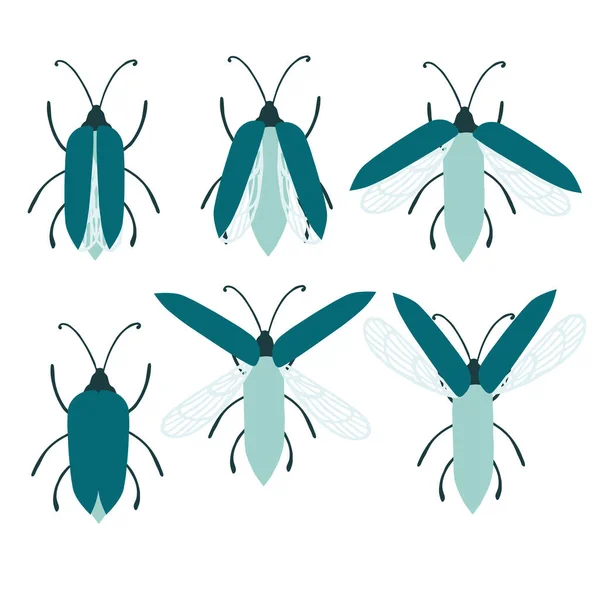 Set Von Einfachen Flachen Käfer Mit Verschiedenen Flügeln Sammlung Insekten — Stockvektor