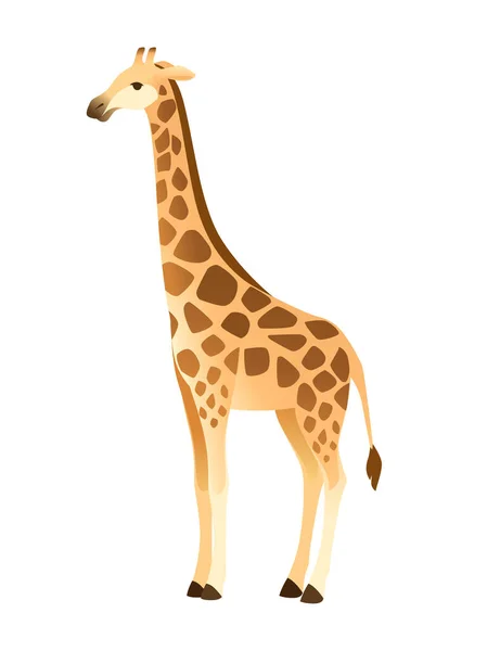 Rijpe Giraffe Afrikaanse Dier Met Lange Nek Cartoon Dier Ontwerp — Stockvector