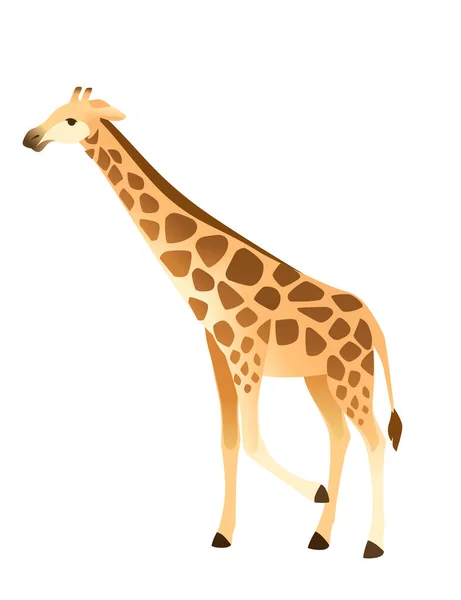 Rijpe Giraffe Afrikaanse Dier Met Lange Nek Cartoon Dier Ontwerp — Stockvector