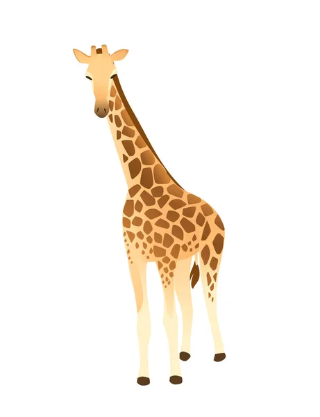 Girafe Mature Animal Africain Avec Long Cou Dessin Animé Animal — Image vectorielle