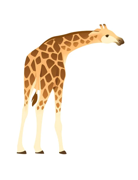 Mature Giraffe African Animal Long Neck Cartoon Animal Design Flat — Stock Vector
