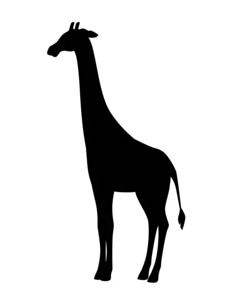Svart Silhuett Mogen Giraff Afrikanska Djur Med Lång Hals Tecknad — Stock vektor