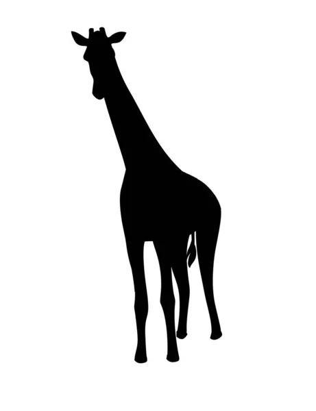 Czarna Sylwetka Dojrzała Żyrafa Afrykańskie Zwierzę Długą Szyi Kreskówka Zwierząt — Wektor stockowy