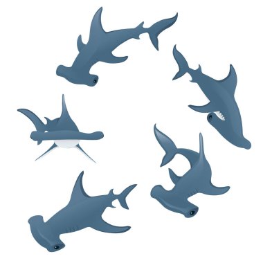 Free Free 231 Hammer Head Shark Svg SVG PNG EPS DXF File