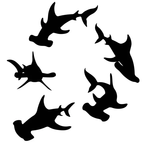 Negro Tiburones Cabeza Martillo Silueta Nadan Círculo Bajo Agua Animal — Archivo Imágenes Vectoriales