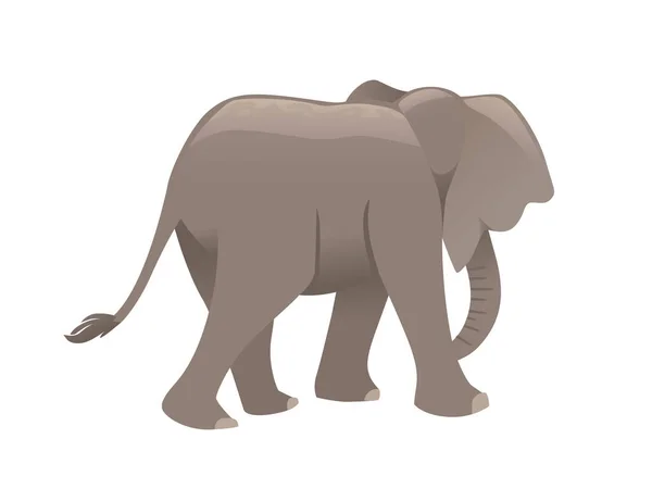 Lindo Elefante Adulto Caminando Desaparecen Dibujos Animados Diseño Animal Ilustración — Vector de stock