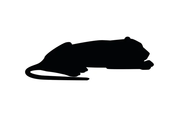 Zwart Silhouet Volwassen Leeuwin Liggend Grond Afrikaanse Wild Roofzuchtige Kat — Stockvector