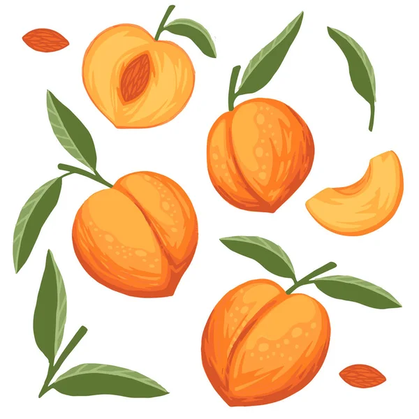 Set Peach Fruit Whole Sliced Green Leaves Flat Vector Illustration — Stock Vector