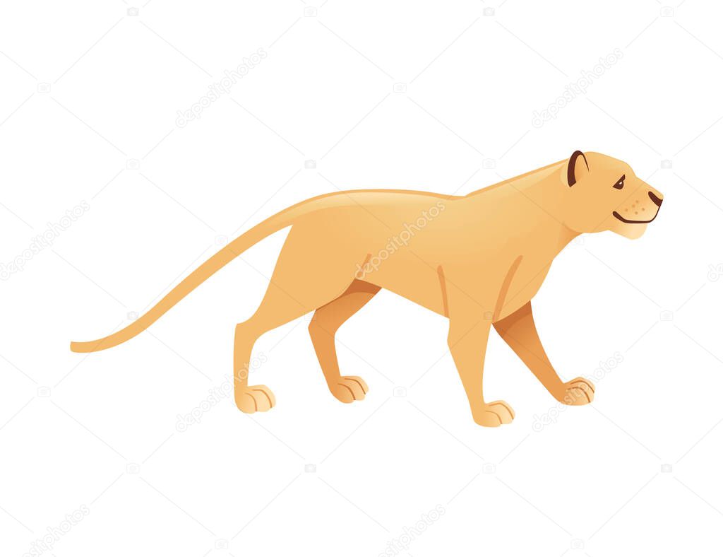 Adult lioness african wild predatory cat female lion cartoon cute animal design flat vector illustration isolated on white background.