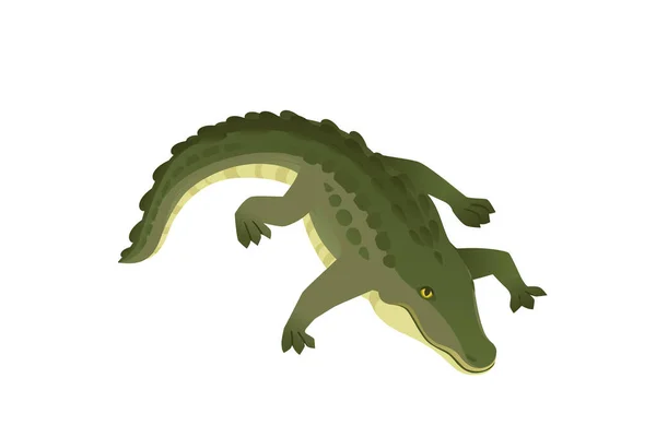 緑のワニの文字大きな肉食爬虫類の漫画動物のデザインフラットベクトルイラスト白の背景に隔離された — ストックベクタ